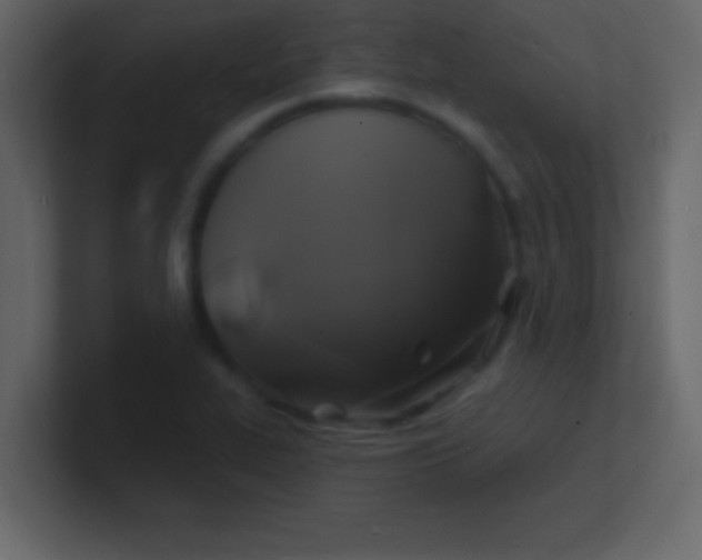 X0000100841319200807070925