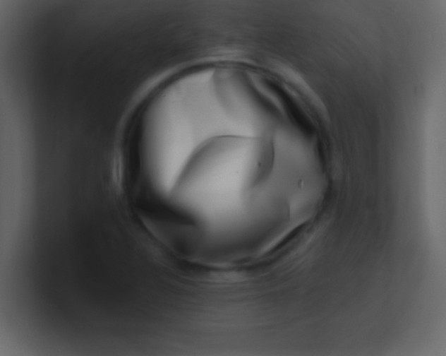 X0000100841320200807070925