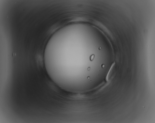 X0000100841321200807070925