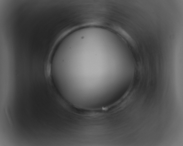 X0000100841324200807070925