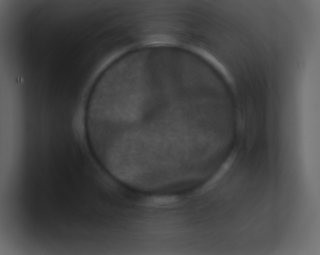 X0000100841325200807070925