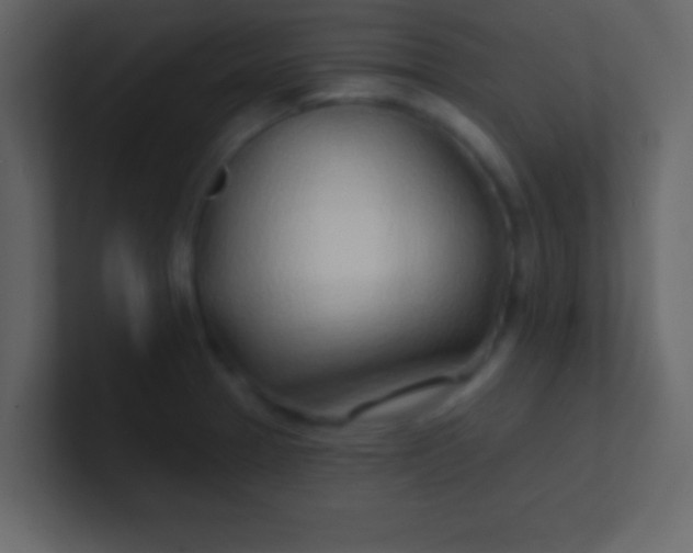 X0000100841329200807070925