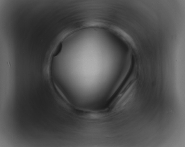 X0000100841330200807070925