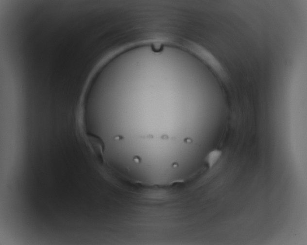 X0000100841332200807070925