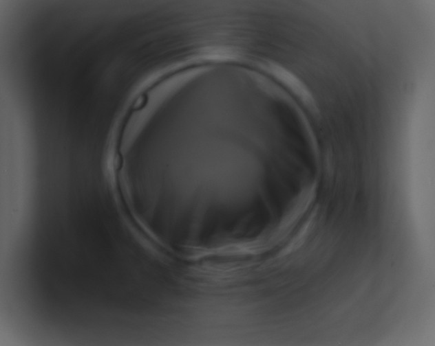 X0000100841334200807070925