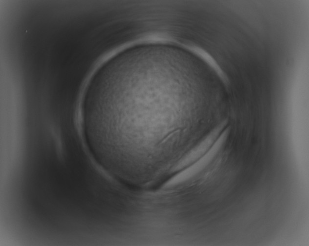 X0000100841335200807070925