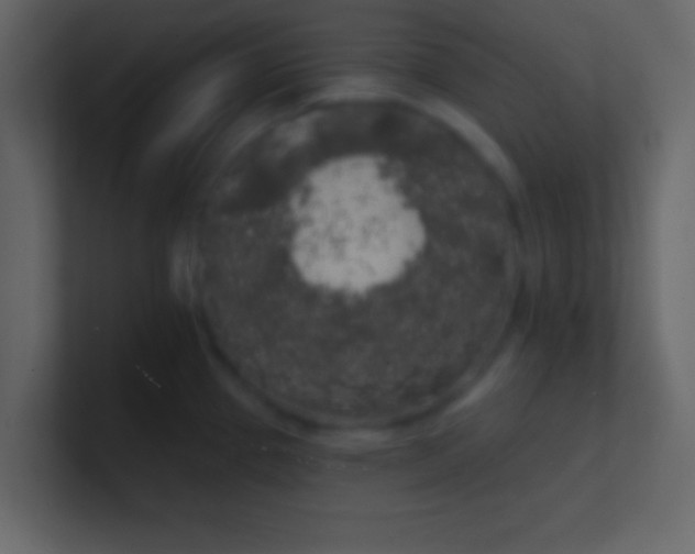 X0000100841337200807070925