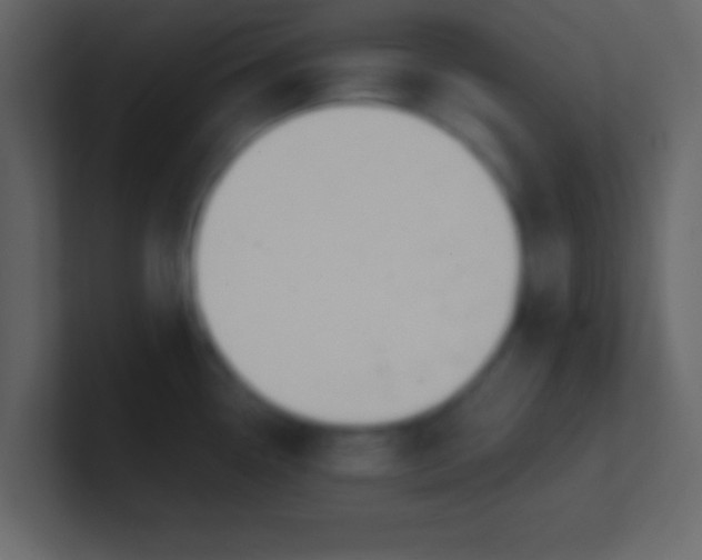 X0000100841338200807070925