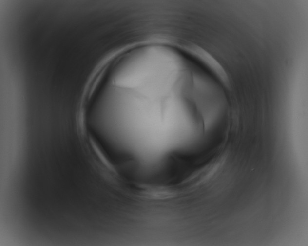 X0000100841340200807070925