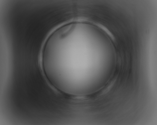 X0000100841343200807070925