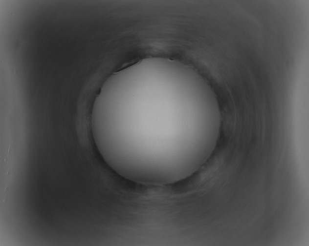 X0000100841345200807070924