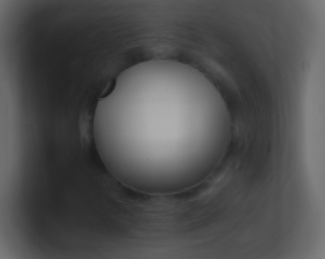 X0000100841346200807070924