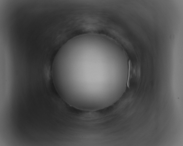 X0000100841348200807070924