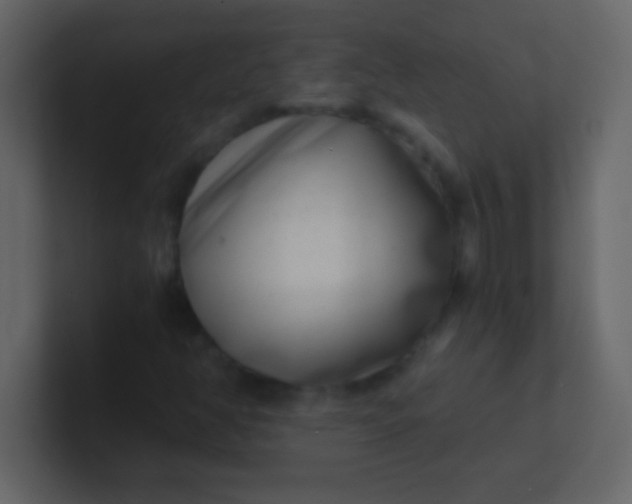 X0000100841350200807070924