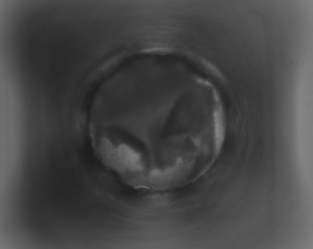 X0000100841351200807070924