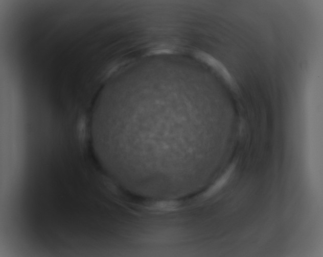 X0000100841353200807070924