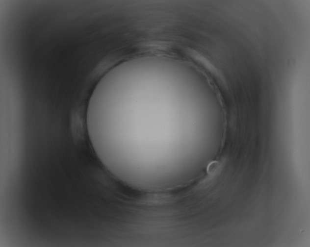 X0000100841354200807070924