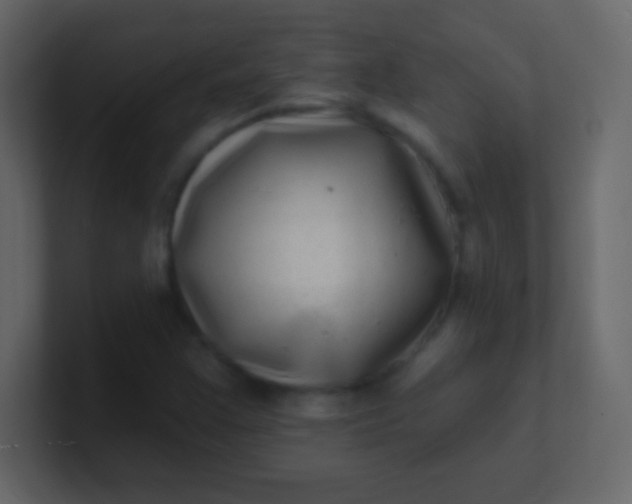 X0000100841355200807070924