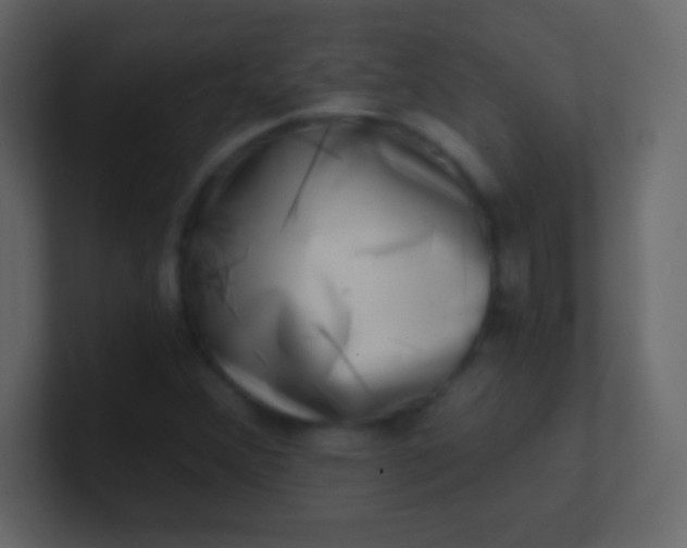 X0000100841356200807070924