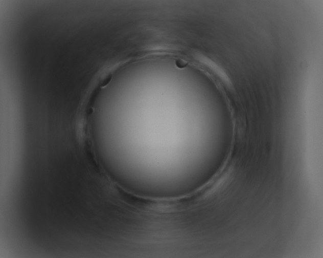 X0000100841357200807070924