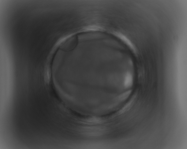 X0000100841358200807070924