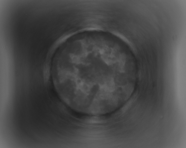 X0000100841359200807070924