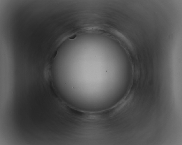 X0000100841361200807070924