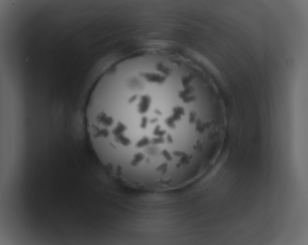 X0000100841362200807070924