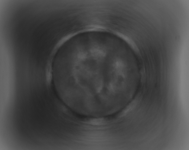 X0000100841363200807070924