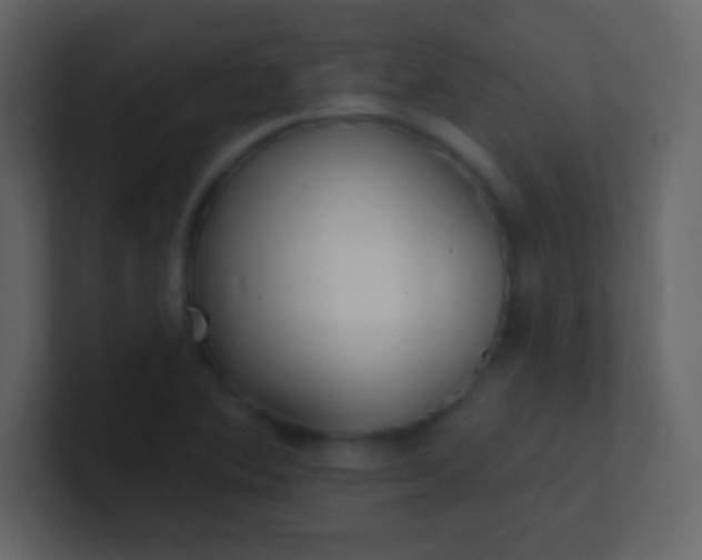 X0000100841364200807070924