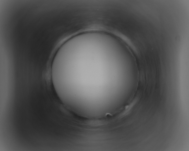 X0000100841366200807070924