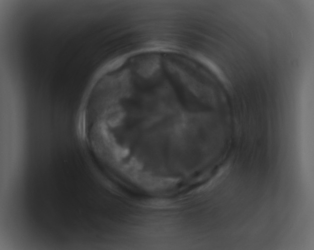 X0000100841371200807070924