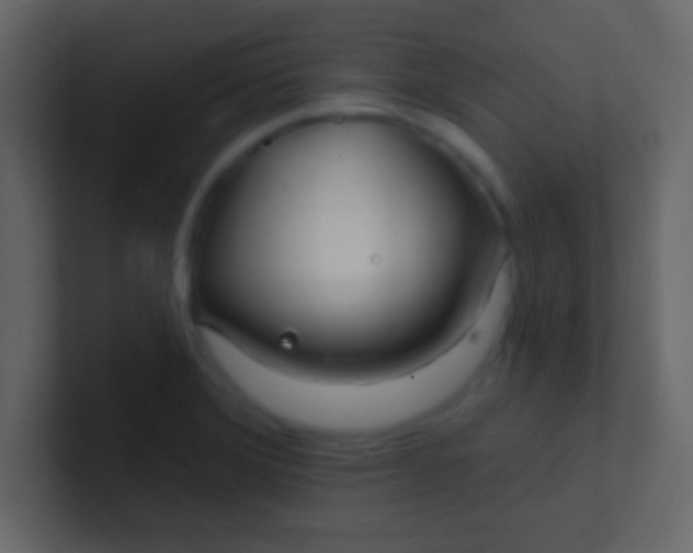 X0000100841372200807070924