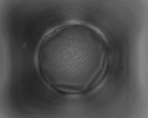 X0000100841373200807070924