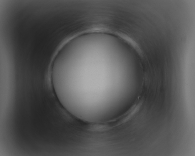 X0000100841374200807070924