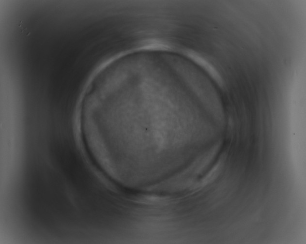 X0000100841375200807070924