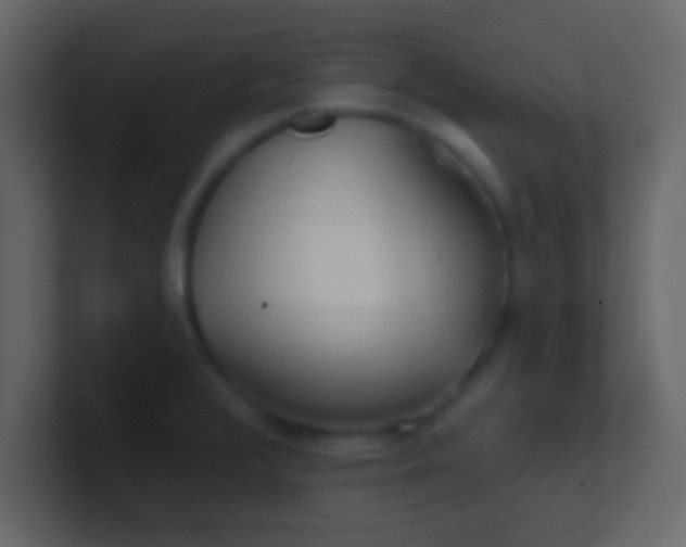 X0000100841376200807070924