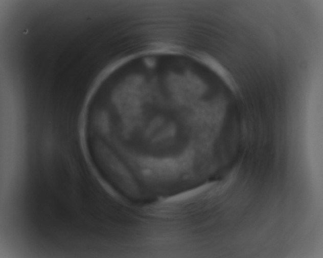 X0000100841379200807070924