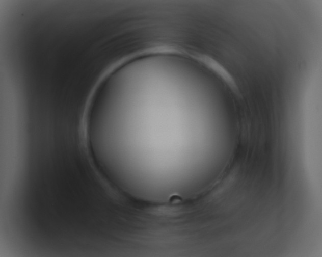 X0000100841380200807070924