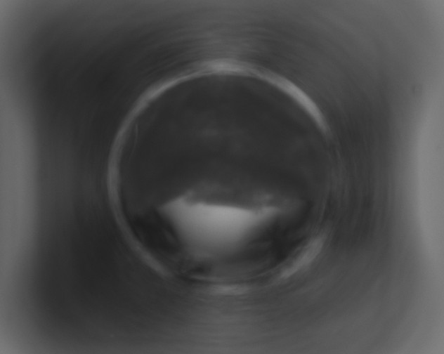 X0000100841381200807070924