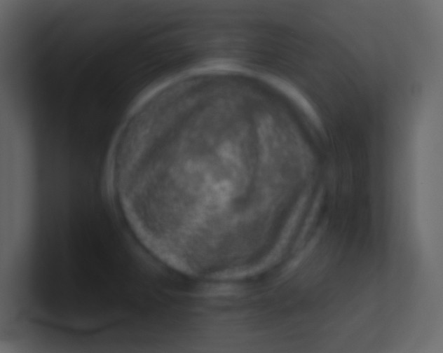 X0000100841382200807070924