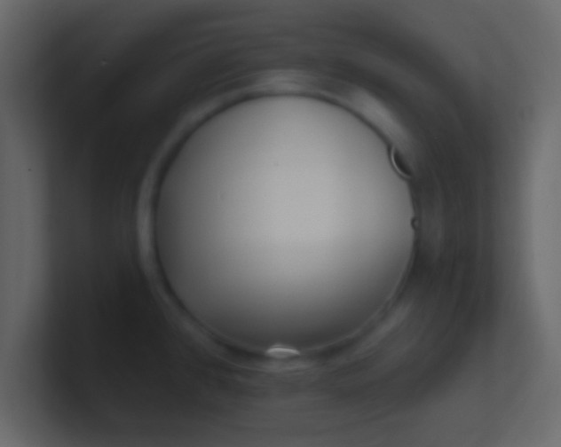 X0000100841384200807070924