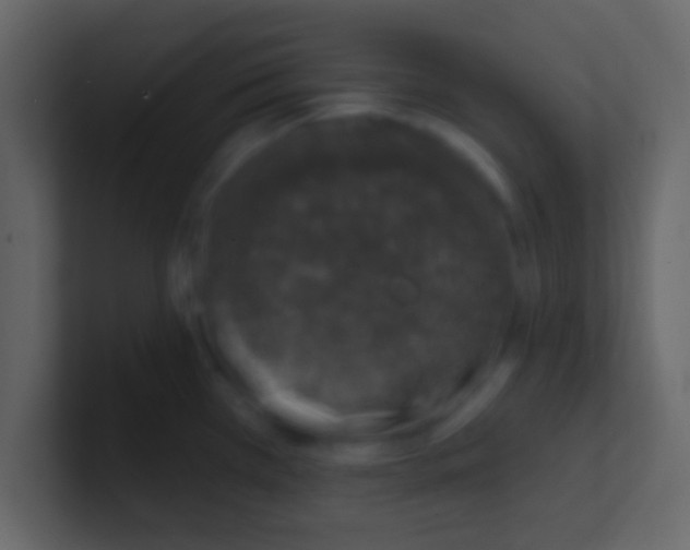 X0000100841385200807070924