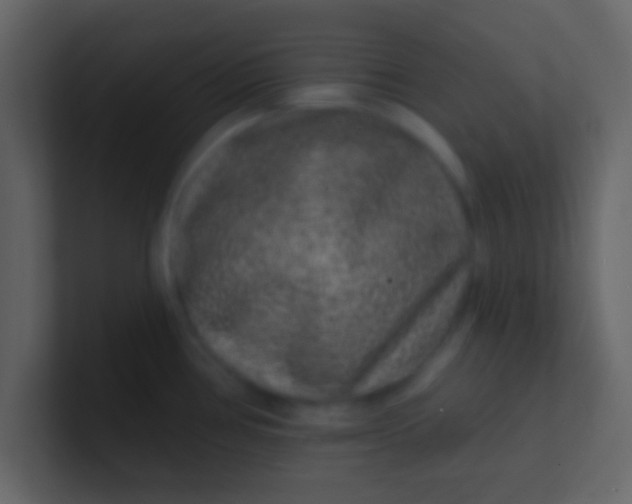 X0000100841386200807070924