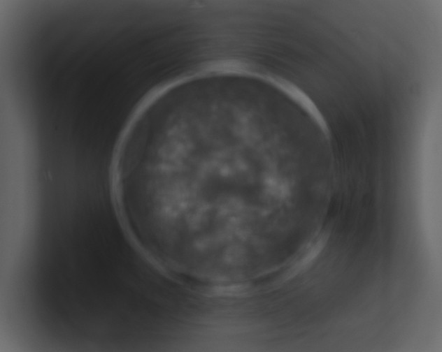 X0000100841389200807070924