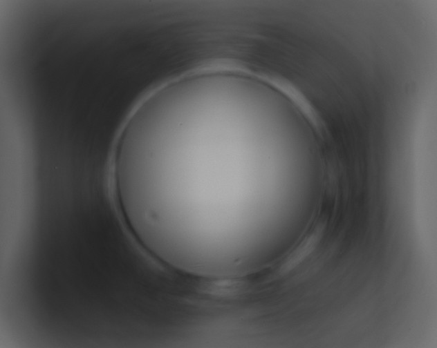 X0000100841390200807070924