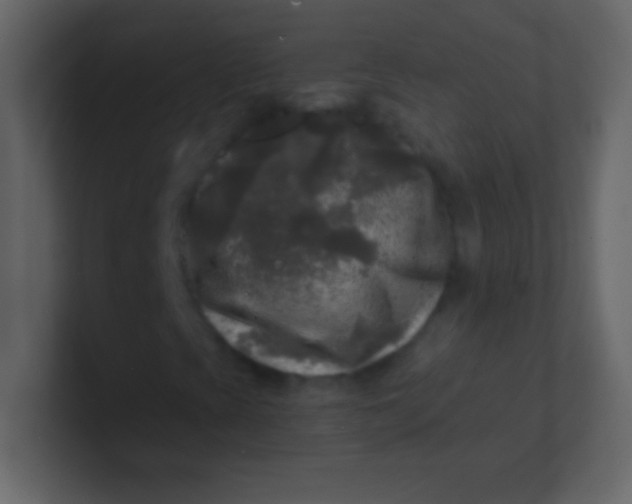 X0000100841393200807070923