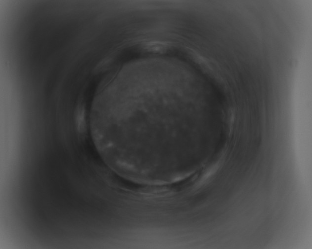 X0000100841394200807070923