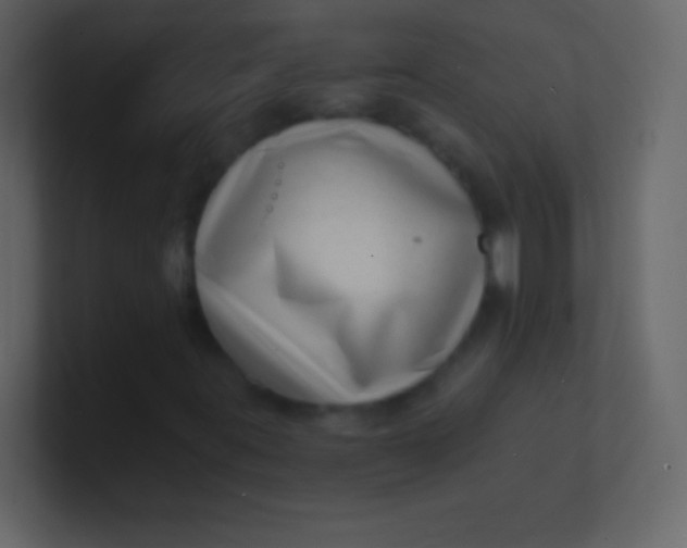 X0000100841395200807070923