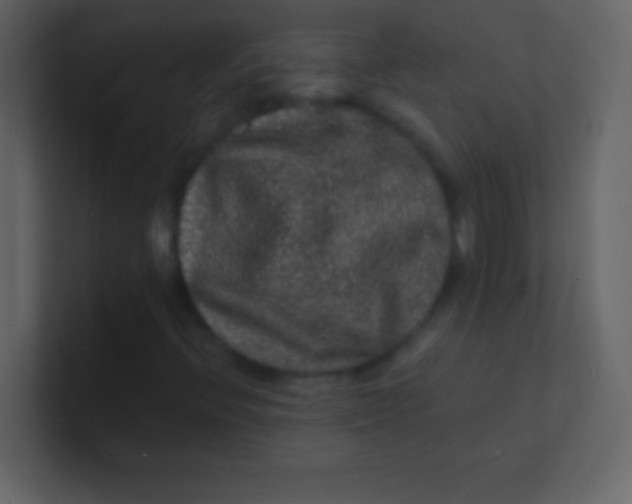 X0000100841396200807070923